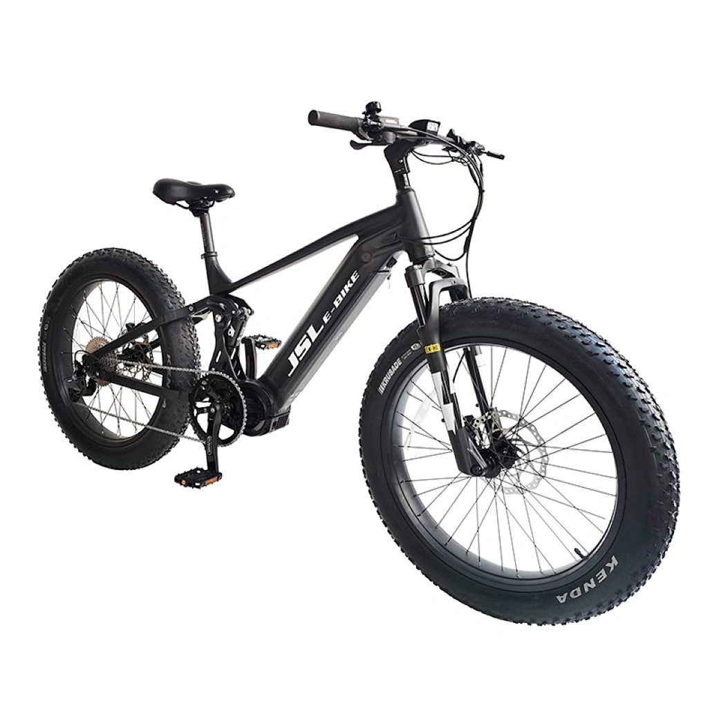 electric beach cruiser fat tire